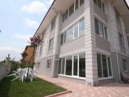 Dış Görünüm